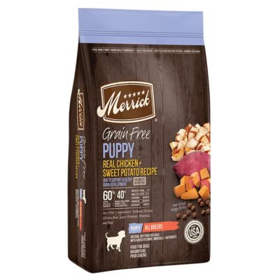 Picture of What To Feed a Labrador Puppy (Best Options)